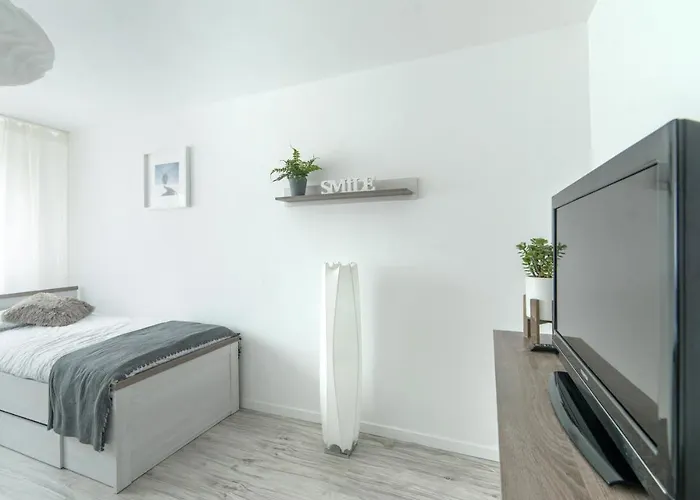 Lesi Duszniki Zdrój